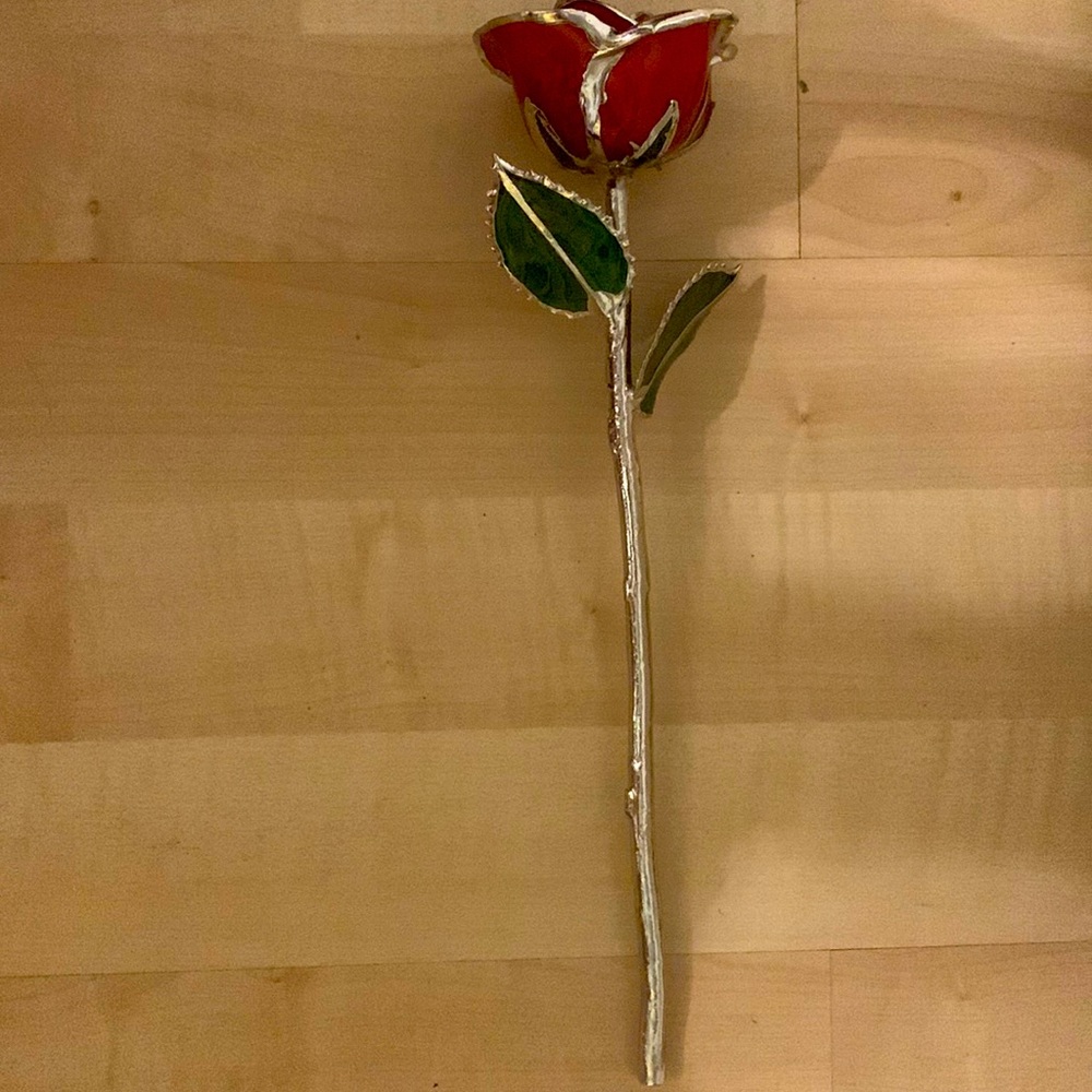 Steve Singer Platinum Rose